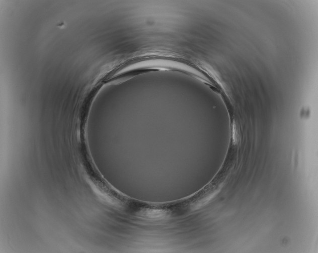 X0000091670205200709061050