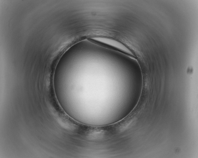 X0000091670206200709061049