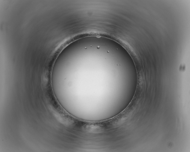 X0000091670208200709061049