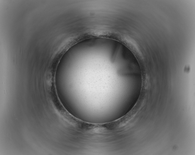 X0000091670210200709061049