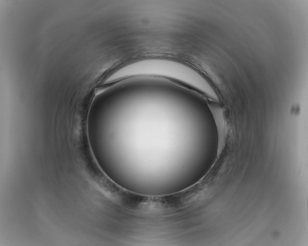 X0000091670211200709061049