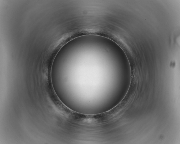 X0000091670212200709061049