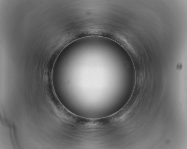X0000091670213200709061049