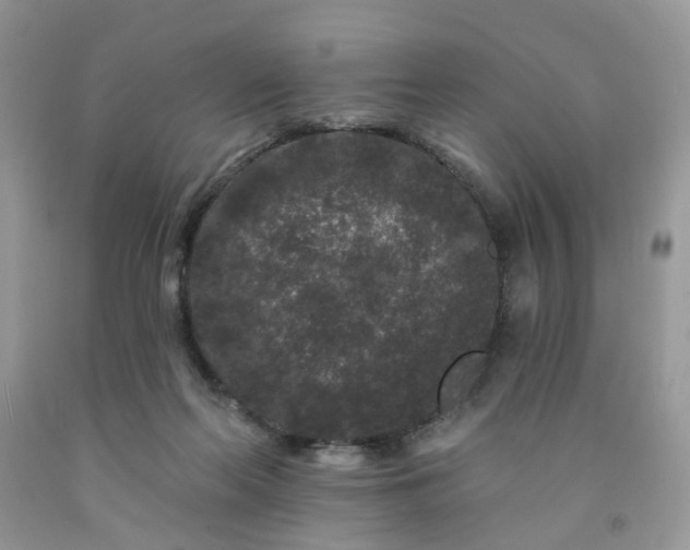 X0000091670214200709061049