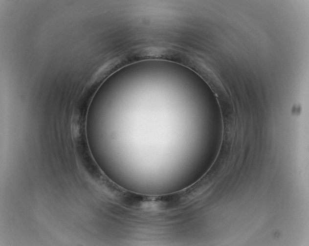 X0000091670216200709061049