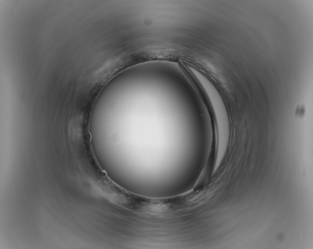 X0000091670217200709061049