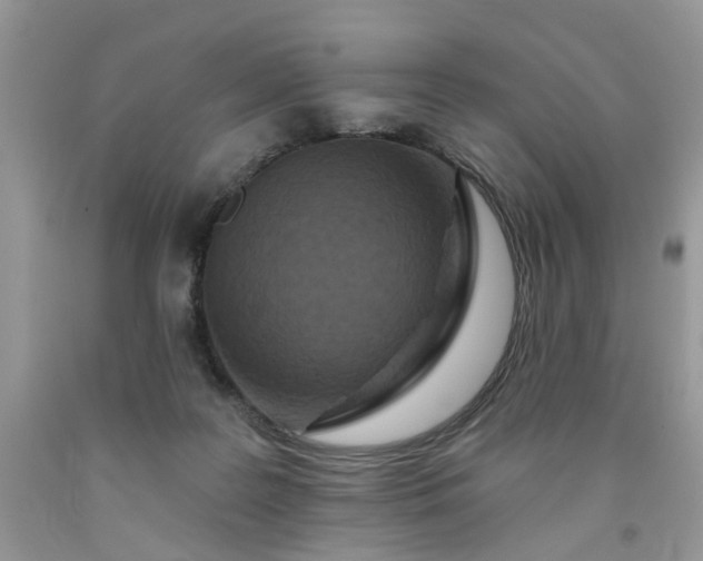 X0000091670219200709061049