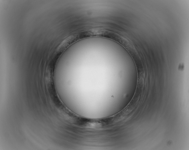 X0000091670220200709061049