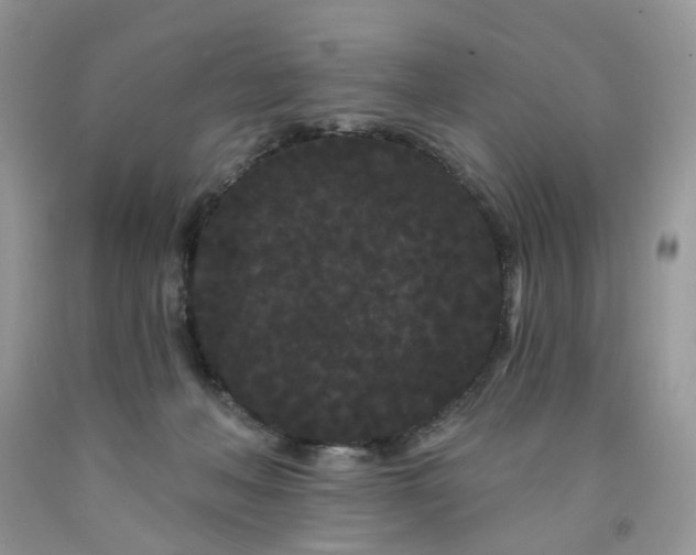 X0000091670222200709061049