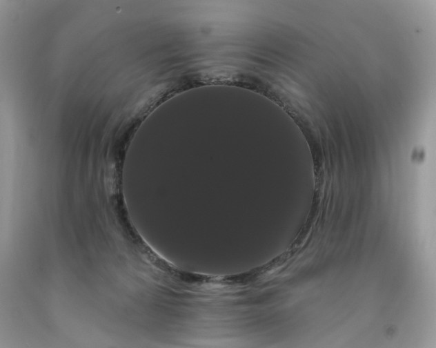 X0000091670224200709061049