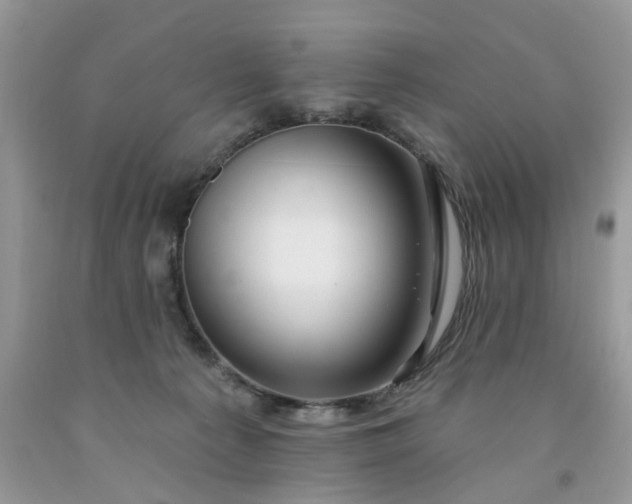 X0000091670225200709061049