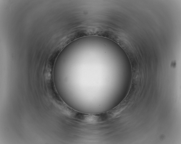 X0000091670226200709061049