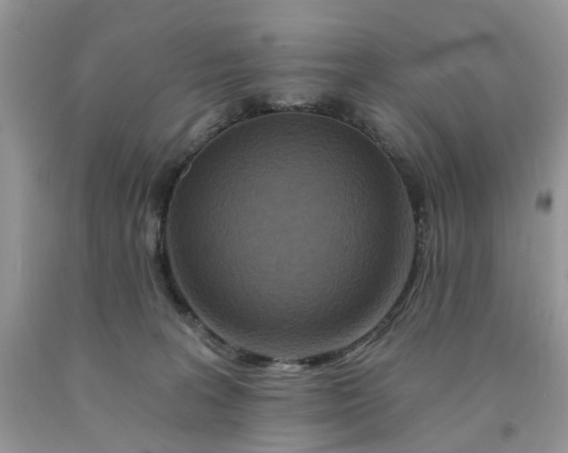 X0000091670227200709061049