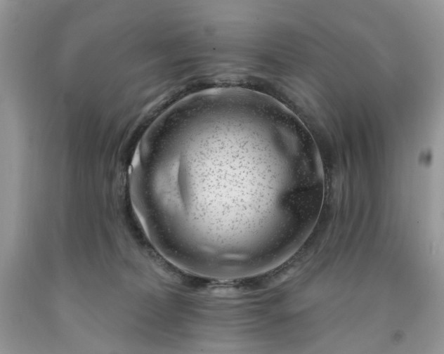 X0000091670228200709061049