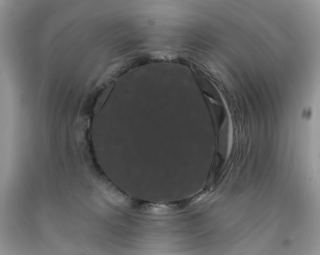 X0000091670229200709061049
