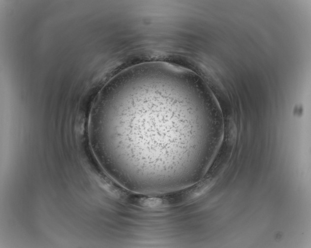 X0000091670230200709061049