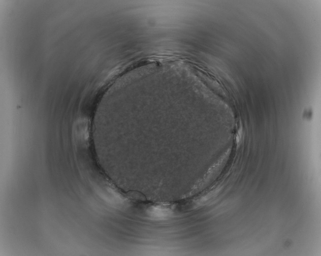 X0000091670232200709061049