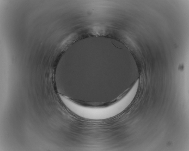 X0000091670233200709061049
