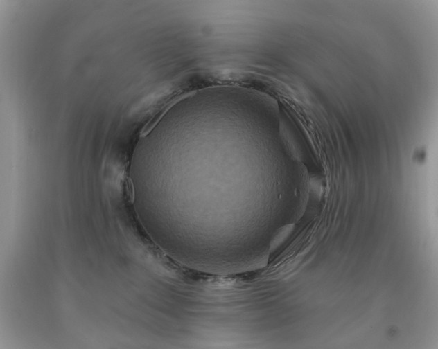 X0000091670235200709061049