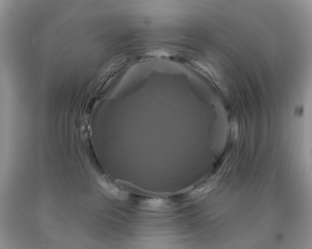 X0000091670237200709061049