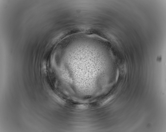 X0000091670238200709061049