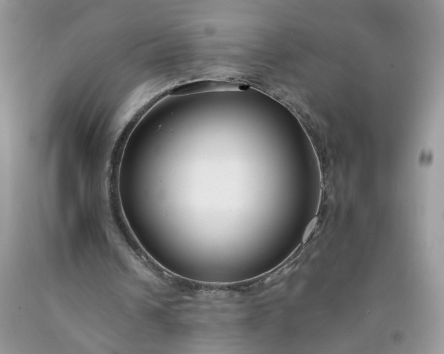 X0000091670242200709061048