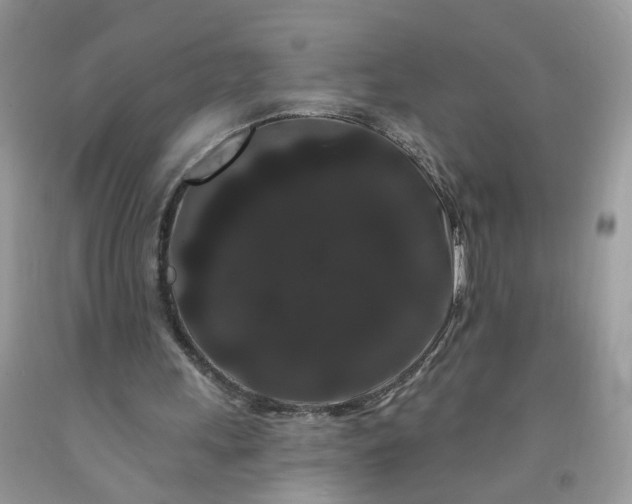 X0000091670243200709061048