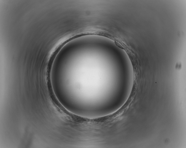 X0000091670244200709061049