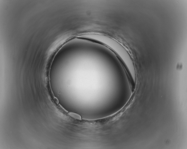 X0000091670245200709061049