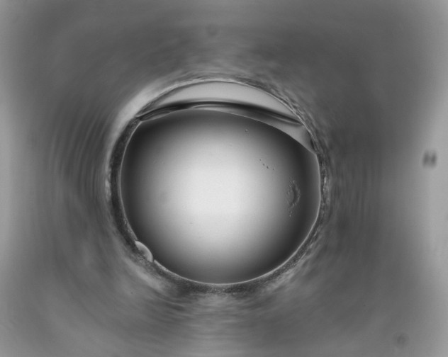 X0000091670246200709061049