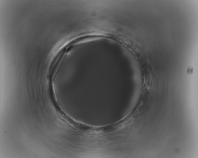 X0000091670247200709061049