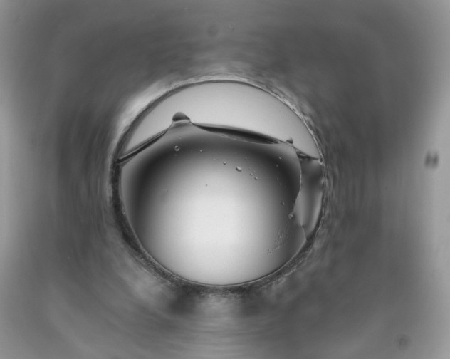X0000091670248200709061049