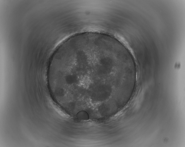 X0000091670249200709061049