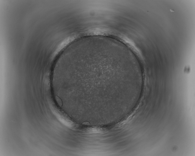 X0000091670250200709061049