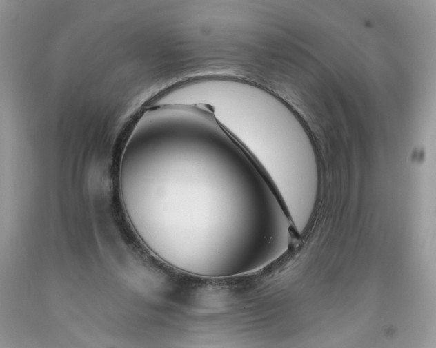 X0000091670252200709061049