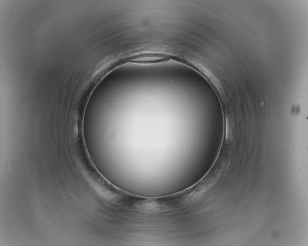 X0000091670253200709061049