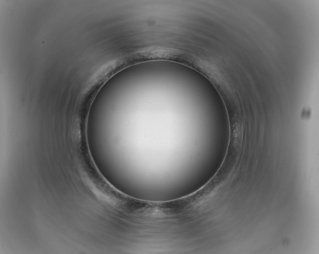 X0000091670254200709061049