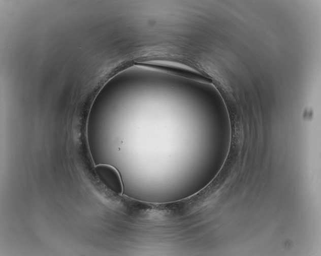 X0000091670255200709061049