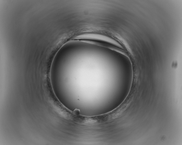 X0000091670257200709061049