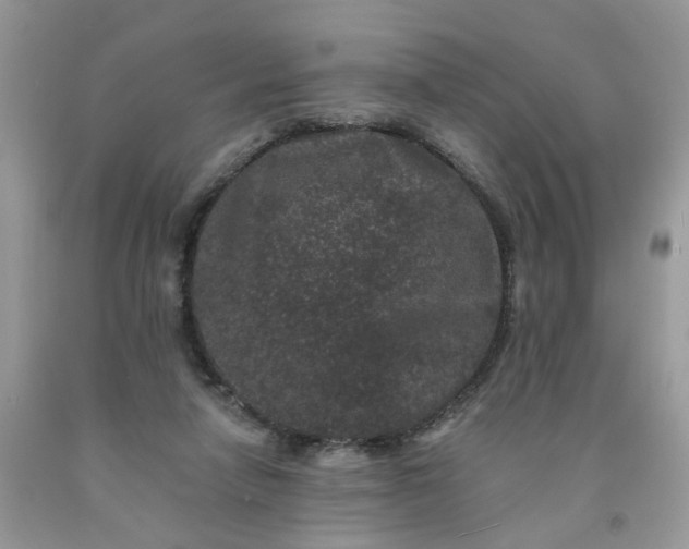 X0000091670258200709061049