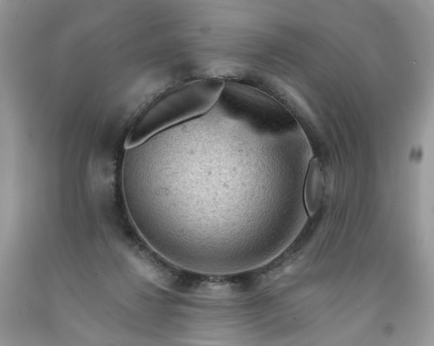 X0000091670260200709061049