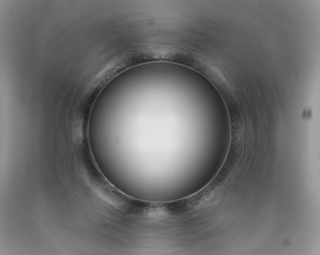 X0000091670262200709061049