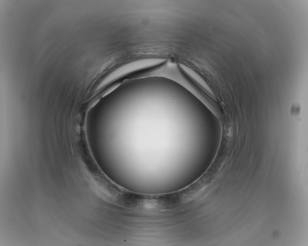 X0000091670264200709061049