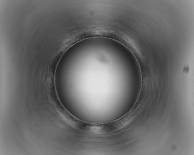 X0000091670265200709061049