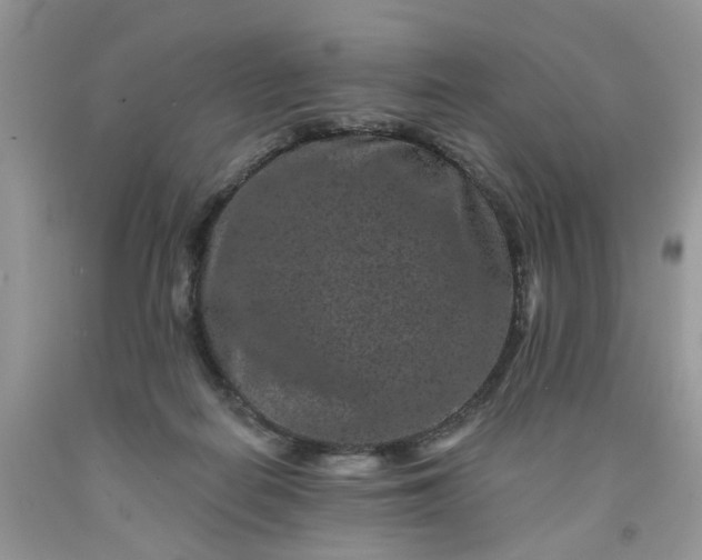 X0000091670266200709061049