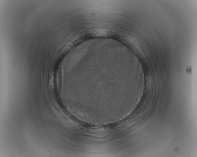 X0000091670267200709061049