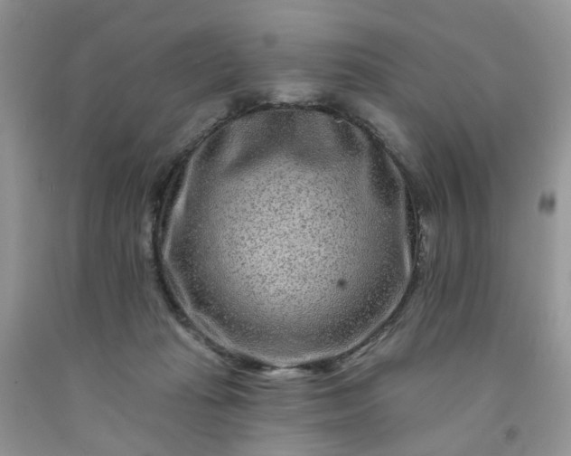 X0000091670269200709061049