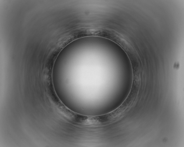 X0000091670270200709061049