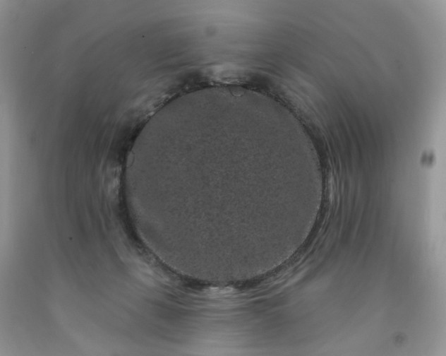 X0000091670271200709061049