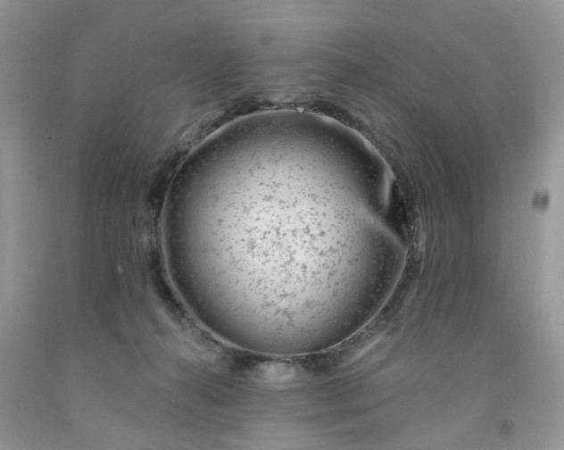 X0000091670272200709061049